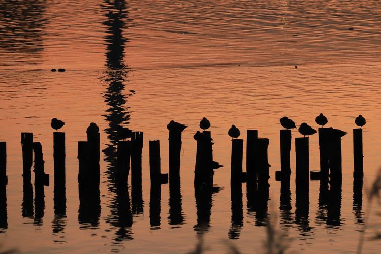 Reflection of silhouette people in lake against sky during sunset