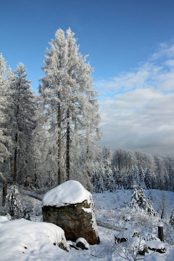 Winter impressions around the egge tower at the velmerstot near silver river valley