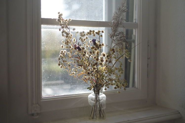 Flower vase on window sill at home