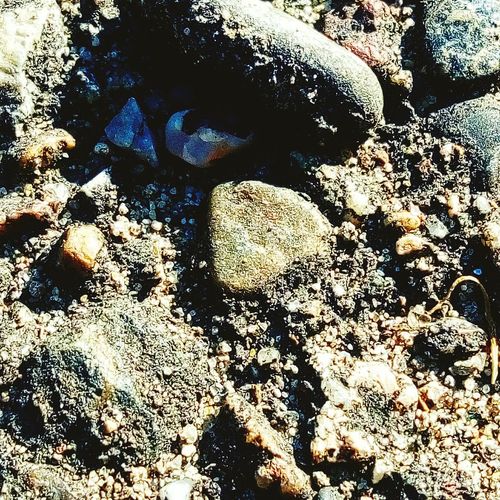 Full frame shot of rocks at beach