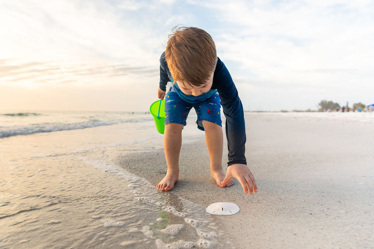 Young boy discovers sand dollar on the beach during vacation