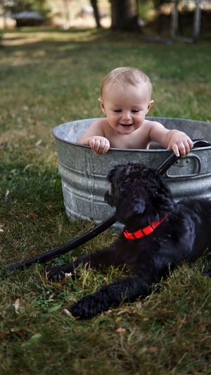 Portrait of toddler boy in galvanized bucket playing with dog on grassy field