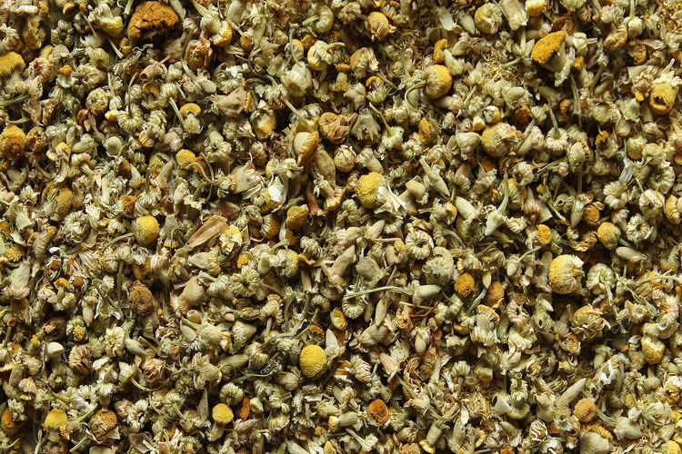 Full frame shot of chamomile tea