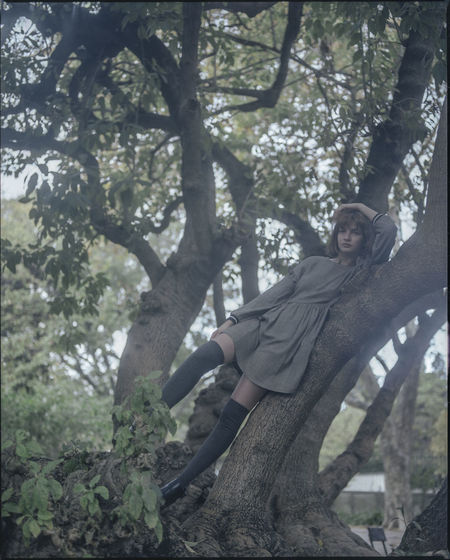 Portrait of man sitting on tree trunk in forest
