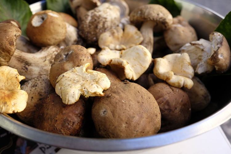 Close-up of edible mushrooms in container