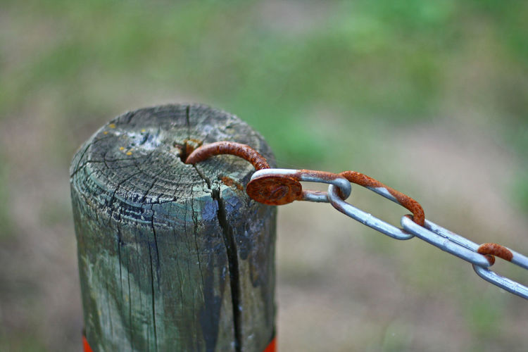 Close-up of rusty chain and wooden post
