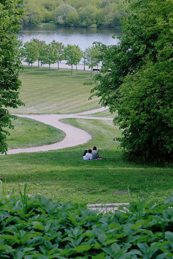 Scenic view of grassy field