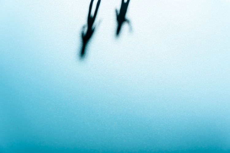 Shadow of people on wall standing upside down