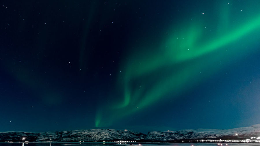 Luminous green seagull and a snowy peak having a kiss