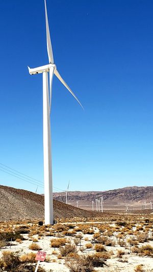 Windmills of california 