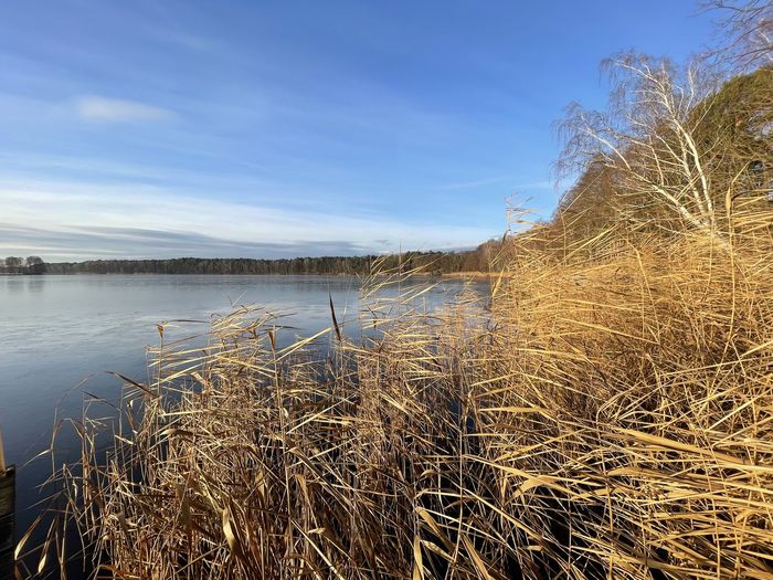 Scenic view of lake against sky during winter