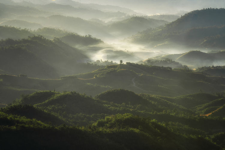 Scenic view of foggy landscape