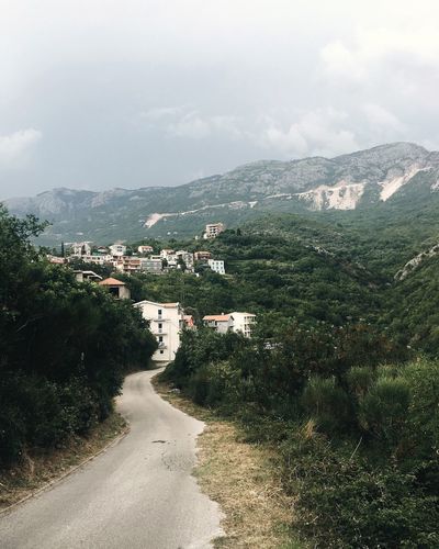 Road amidst trees and buildings against sky