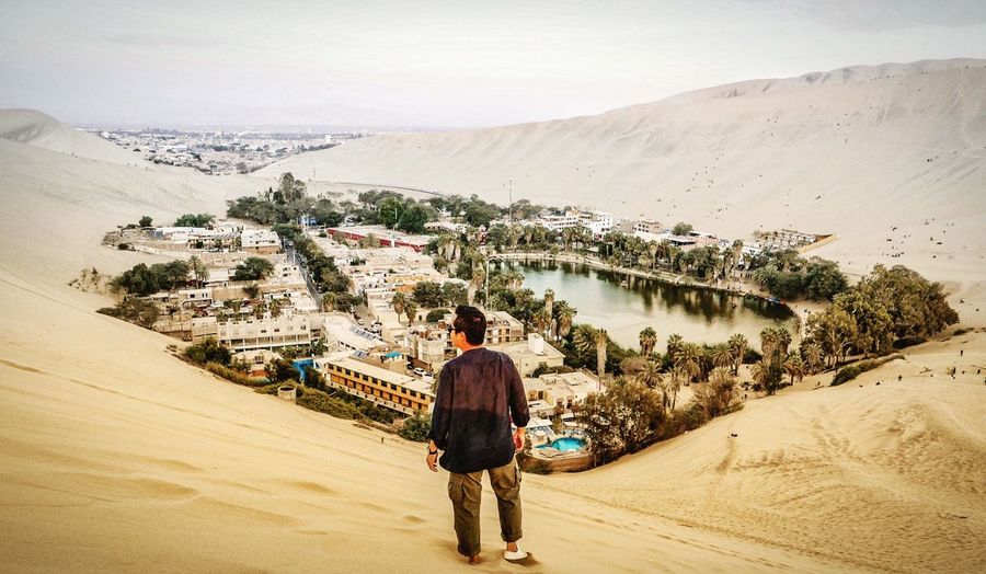 Rear view of man standing on desert