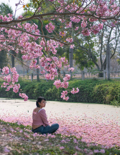 Woman sitting on cherry blossom in park