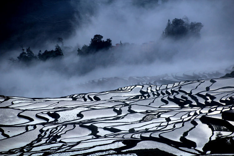 Terraced field with water during foggy weather