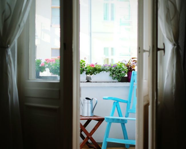 Chair and flower pots on balcony seen from partially opened door