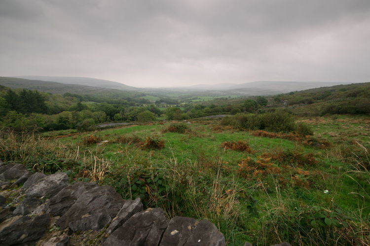 Scenic view of green landscape and mountains against sky
