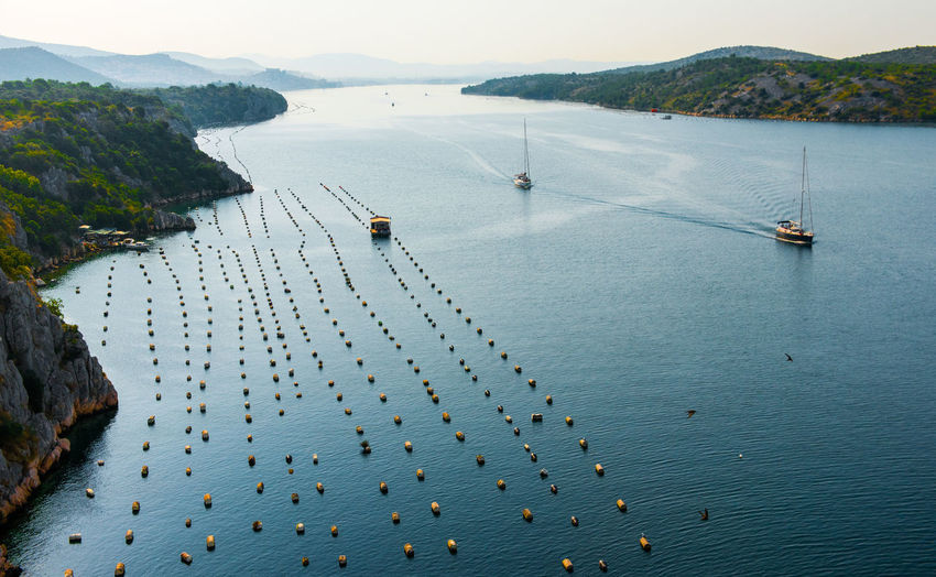 High angle view of boats and buoys in sea