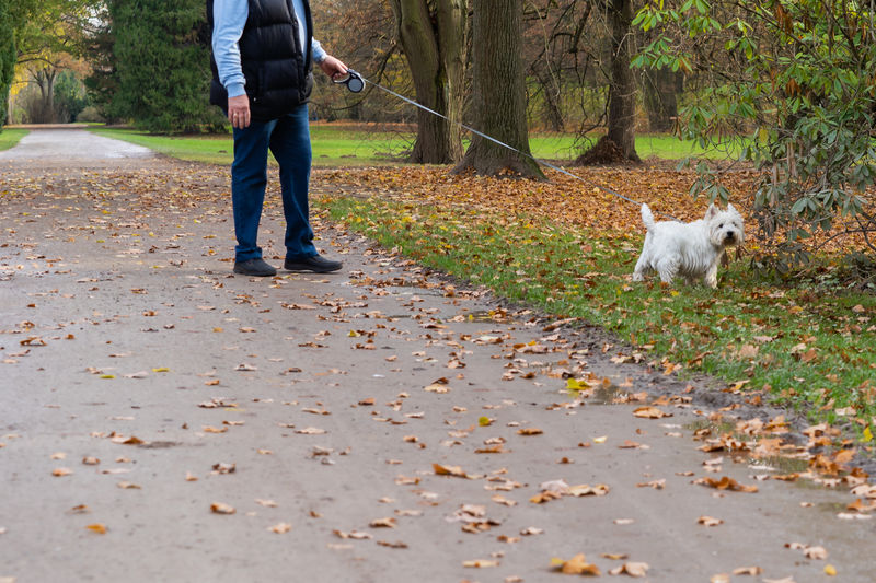 Full length of man walking with dog