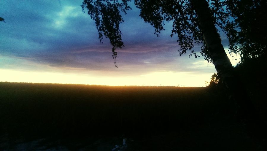 Silhouette trees against sky during sunset