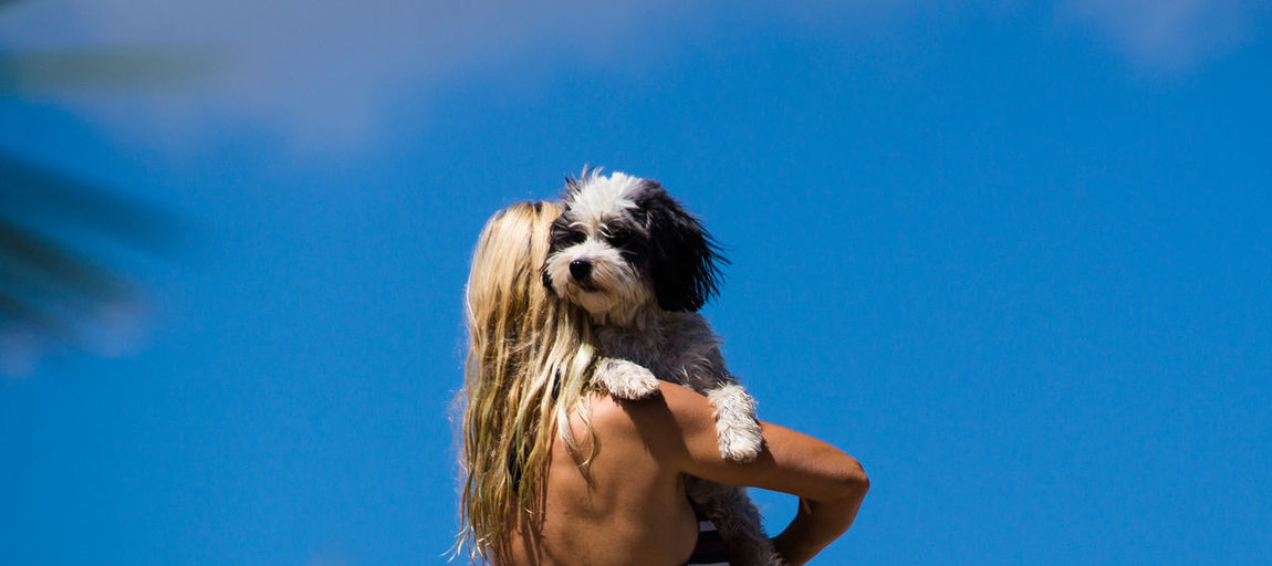 Rear view of woman holding dog against clear blue sky