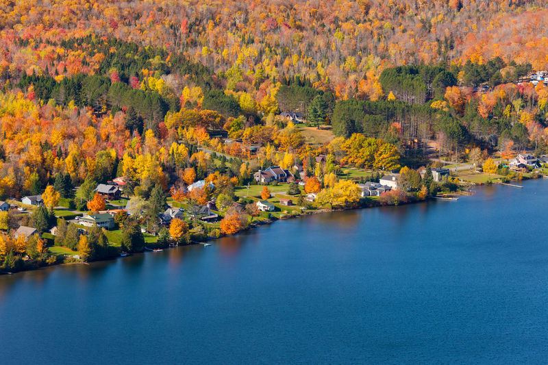 Scenic view of trees by lake during autumn