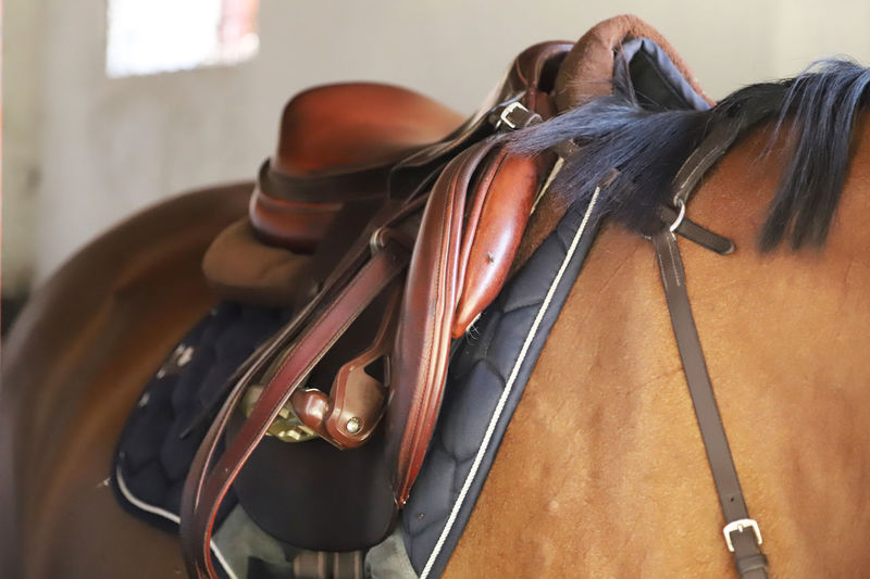 Close-up of saddle