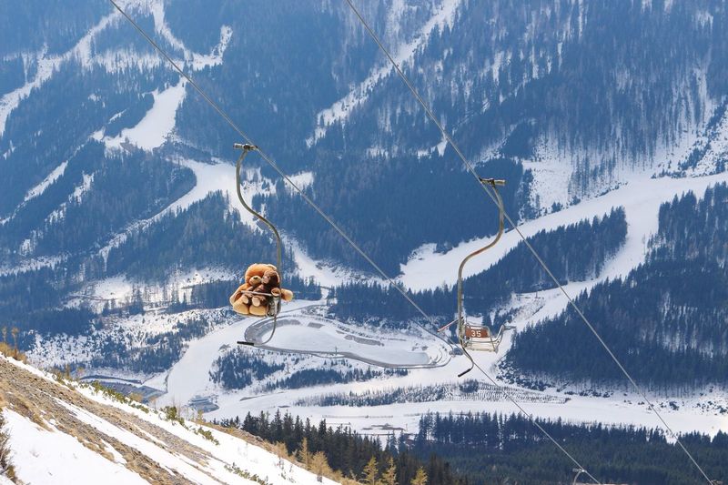 Teddy bears on chairlift