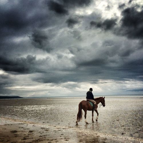 Side view of horse ride on beach against the clouds