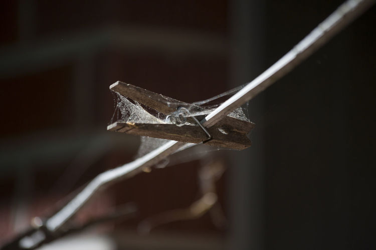 A single clothes pin abandoned on a line