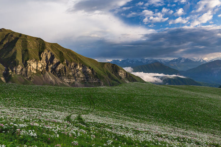 Alpine meadows in mountainous chechnya in the caucasus
