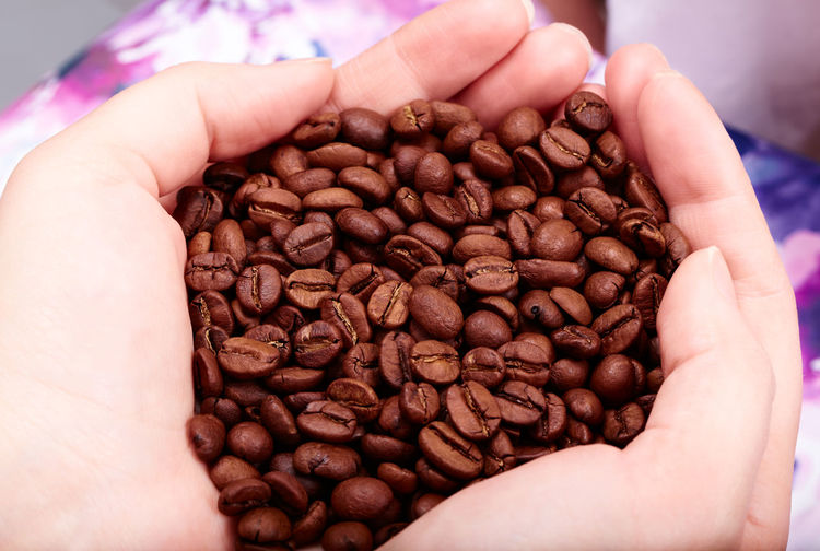 Close-up of hands holding coffee beans