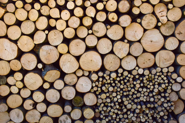 Full frame shot of logs in forest