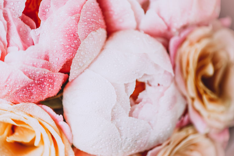 Fresh bunch of pink peonies and roses. card concept, pastel colors, close up image