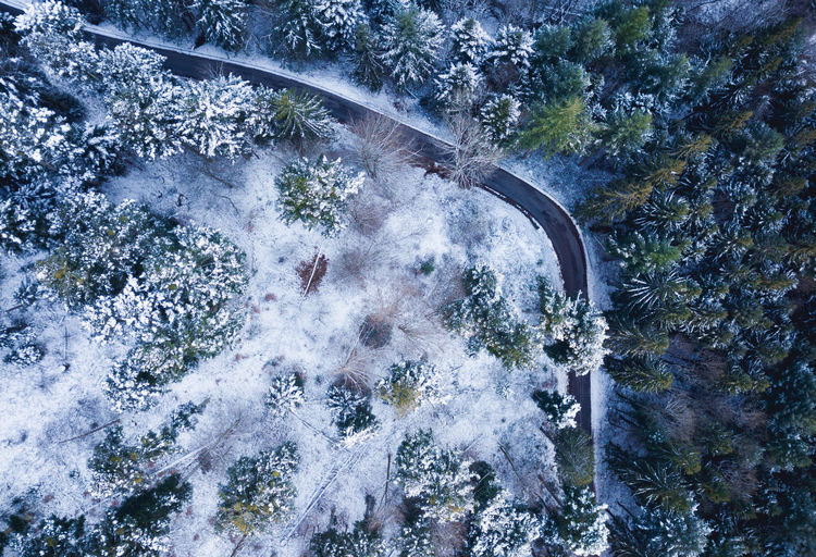 Aerial view of road amidst trees on snow covered field