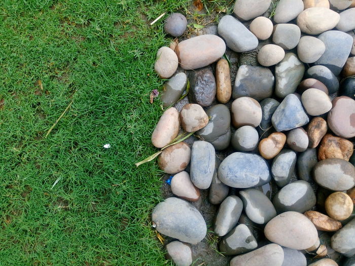 Full frame of pebbles on field