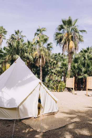Glamping tent in tropical climate in todos santos, mexico