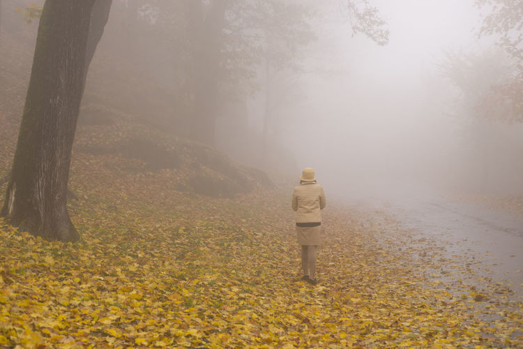 Rear view of woman walking on leaves during foggy weather