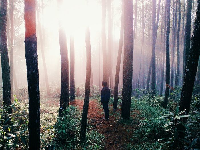 Man standing amidst trees at forest