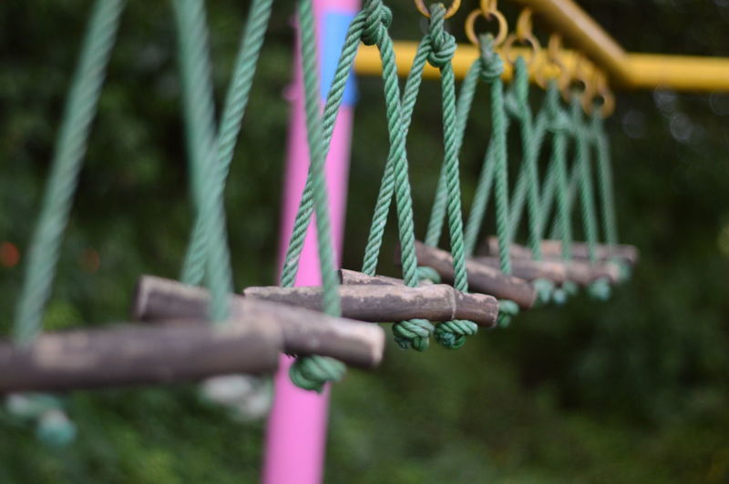 Close-up of wooden structure in park