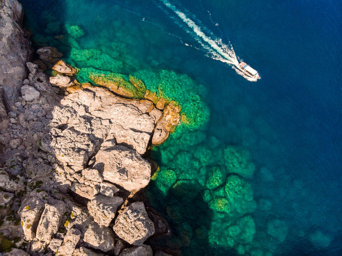 High angle view of rocks swimming in sea