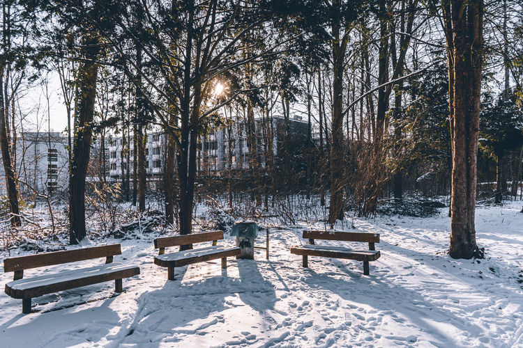 Bench in park during winter
