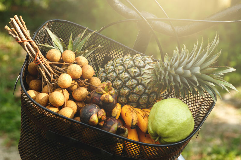 Close-up of fruits in bicycle basket