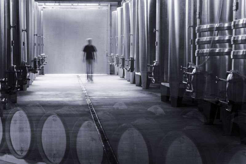 Rear view of man walking in corridor of winery storage building