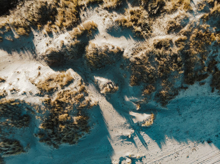 Aerial view of people standing at beach