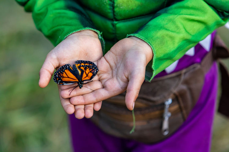 Midsection of person holding butterfly on leaf