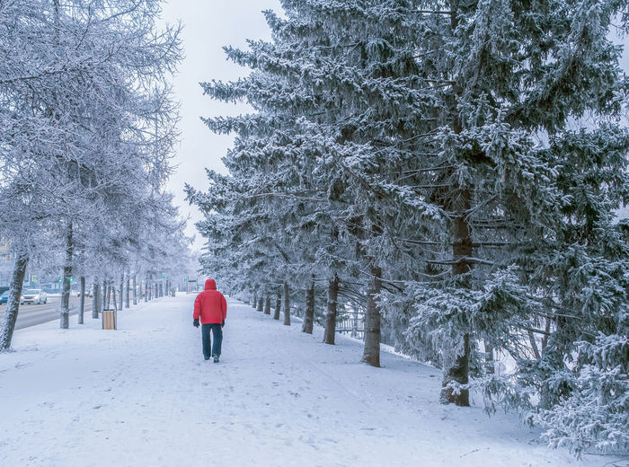 Rear view of woman walking on snow covered landscape