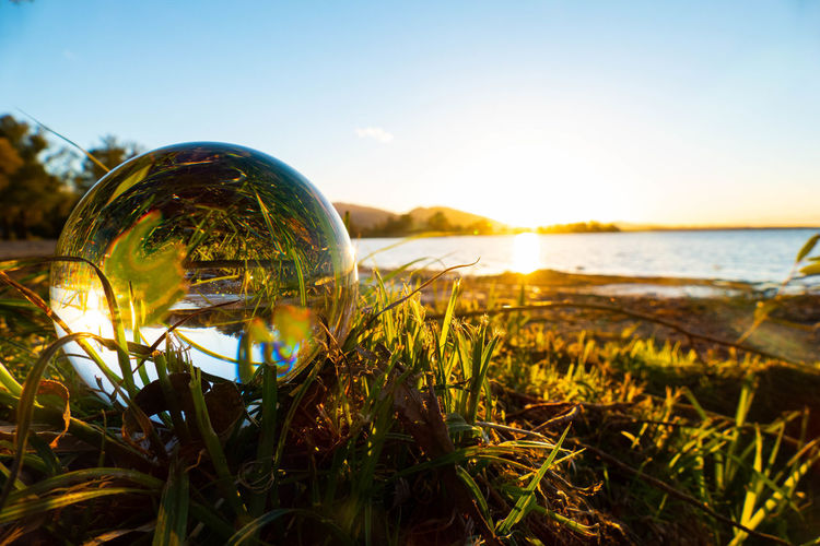 Lensball in the grass at sunset by the lake of constance