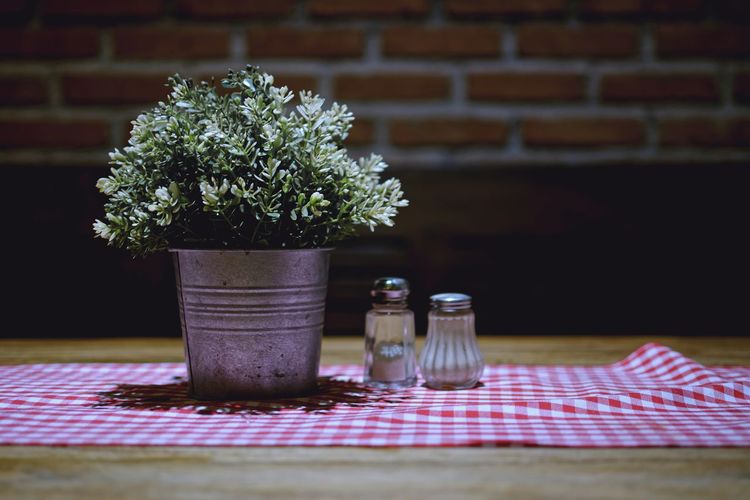 Close-up of potted plant on table
